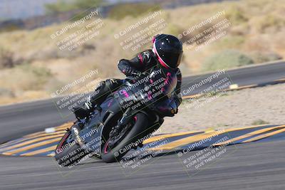 media/Nov-11-2023-SoCal Trackdays (Sat) [[efd63766ff]]/Turn 16 (11am)/